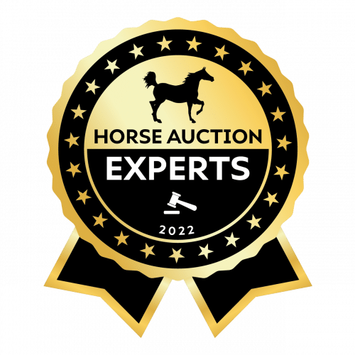 TVD Definitive Horse Auction Experts 2022 Tunnel Vision Design 